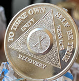 10 Year AA Medallion Silver Plated Sobriety Chip