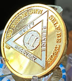 2 Year AA Medallion Bi-Plate Gold and Nickel Plated Sobriety Chip