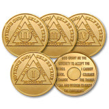 2 Month AA Medallion 1.5" Large Challenge Coin Premium Bronze Sobriety Chip