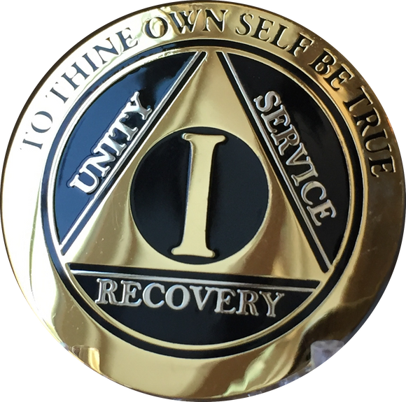 1 Year AA Medallion The Sobriety Chip To Celebrate A First Anniversary