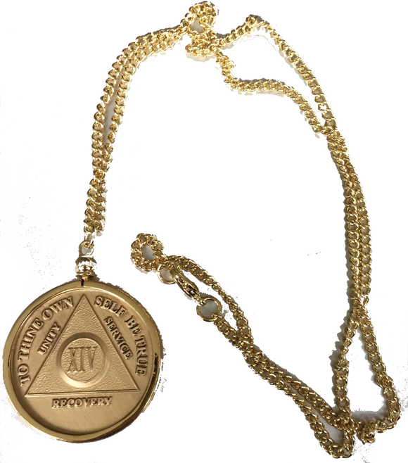 AA Medallion Necklace Chip Holder For Wendells Sobriety Coins