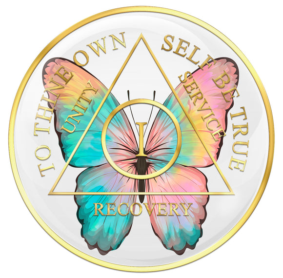 1 - 10 Year AA Medallion Butterfly Design White Sobriety Chip Serenity Prayer Back