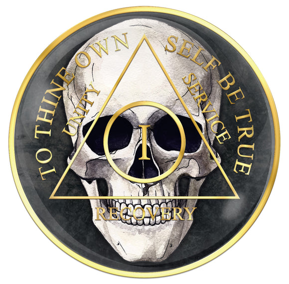 1 - 10 Year AA Medallion Skull Design Black Sobriety Chip Serenity Prayer Back