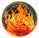 1 - 20 Year AA Medallion Flame Design Sobriety Chip Black Orange Serenity Prayer Back