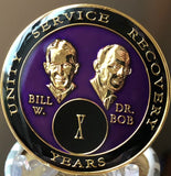 10 Year AA Founders Medallion Purple Tri-Plate Sobriety Chip Bill & Bob Coin