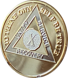 10 Year AA Medallion Premium 22k Bi-Plate Gold Plated Sobriety Chip