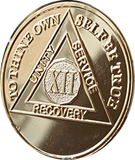 12 Year 22K Gold Plated AA Medallion Serenity Prayer Back Sobriety Chip 34x3mm