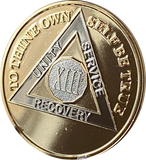 13 Year AA Medallion 22k Gold Plated Premium Sobriety Chip XIII
