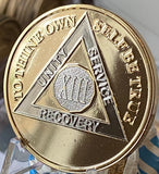 13 Year AA Medallion 22k Gold Plated Premium Sobriety Chip XIII