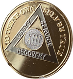 13 Year AA Medallion 22k Gold Plated Premium Sobriety Chip XIII