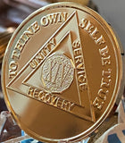 14 Year 22K Gold Plated AA Medallion Serenity Prayer Back Sobriety Chip 34x3mm