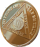 14 Year 22K Gold Plated AA Medallion Serenity Prayer Back Sobriety Chip 34x3mm