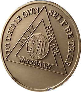 17 Year AA Medallion Premium Bronze Sobriety Chip Lion Back