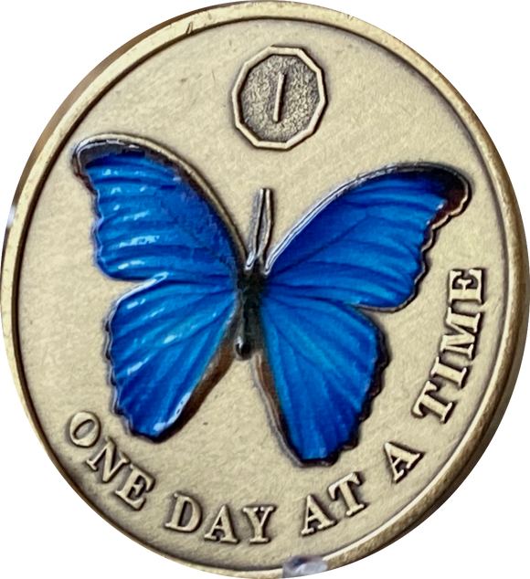 1 2 3 4 5 6 7 8 9 or 10 Year Blue Butterfly One Day At A Time Serenity Prayer Medallion Coin
