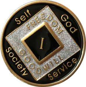 1 Year NA Clean Time Chip Black Silver Glitter Official Narcotics Anonymous Medallion