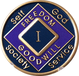 1 Year NA Clean Time Ship Blue Purple Narcotics Anonymous Medallion
