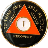 1 Year AA Medallion Orange Black Tri-Plate Sobriety Chip Serenity Prayer Back