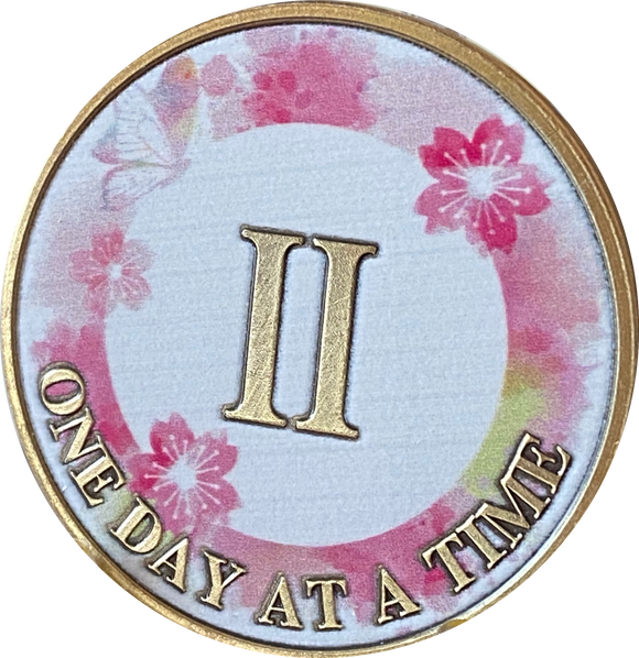 2 Year One Day At A Time Pink Lotus Flower Butterfly Medallion Serenity Prayer Chip AA NA