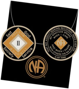 2 Year NA Clean Time Chip Orange Black Narcotics Anonymous Medallion