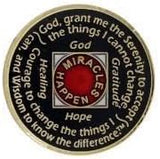 1 - 45 Year NA Tri-Plate Clean Time Chip Metallic Red Medallion