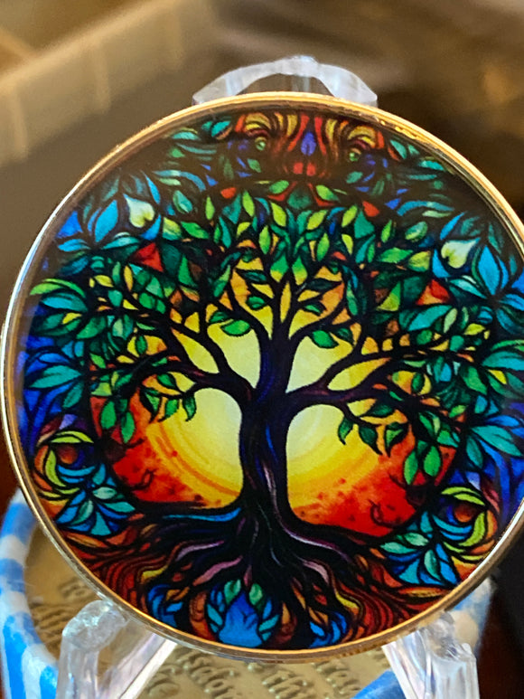 36 Year Multi-Color Tree Of Life Sobriety Medallion AA NA Chip Growing Along Spiritual Lines Back