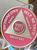 24 Year AA Medallion Pink Silver Plated Sobriety Chip Serenity Prayer Back (Copy)