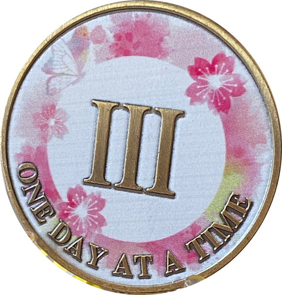 3 Year One Day At A Time Pink Lotus Flower Butterfly Medallion Serenit 3-year-one-day-at-a-time-pink-lotus-flower-butterfly-medallion-serenit