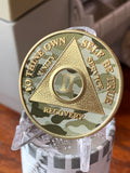 2 Year AA Medallion Camo Gold Plated Sobriety Chip