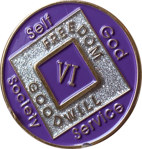 6 Year NA Clean Time Chip Purple Silver Glitter Official Narcotics Anonymous Medallion
