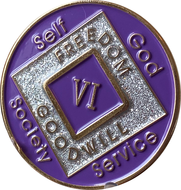 6 Year NA Clean Time Chip Purple Silver Glitter Official Narcotics Ano ...