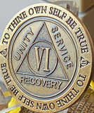 6 Year AA Medallion Trust God Clean House Help Others Doctor Bob Chip