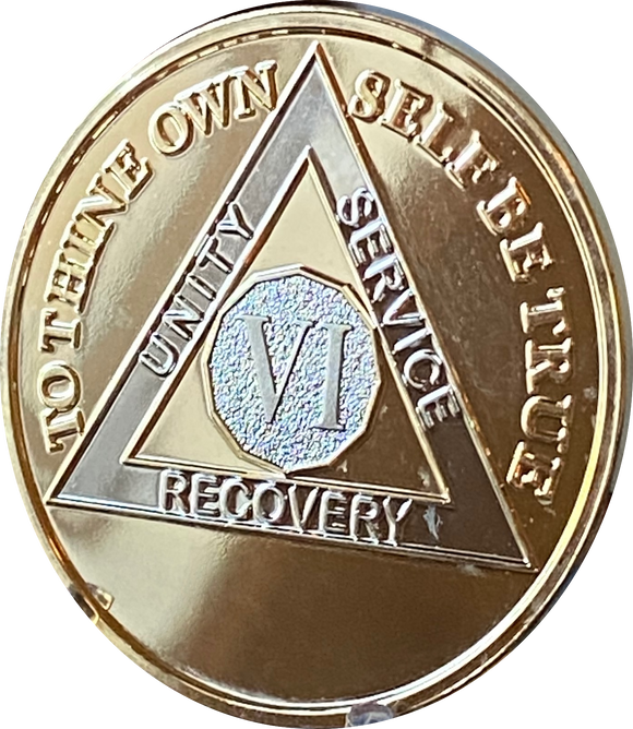 6 Year AA Medallion 22k Gold Plated Premium Sobriety Chip VI