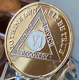 6 Year AA Medallion 22k Gold Plated Premium Sobriety Chip VI