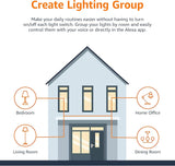 Amazon Basics Smart A19 LED Light Bulb, Dimmable Soft White (2700K), 9W (60W Equivalent), 800LM, Works with Alexa Only, 2.4 GHz Wi-Fi, No Hub Required