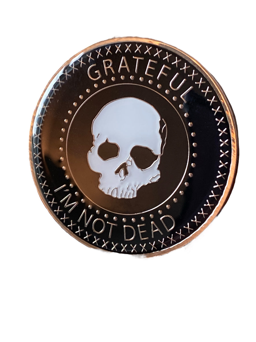 Grateful I'm Not Dead Sobriety Medallion Serenity Prayer Chip Gold Pla ...