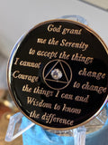 20 Year AA Medallion Red White Blue Crystal Black Serenity Prayer Sobriety Chip