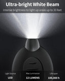 LED Keychain Flashlight Mini LED Keychain Light 12 Lumen Portable Ultra Bright Battery Powered Key Ring Torch for Outdoor Camping Hiking and Emergency Lighting, Black Shell