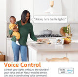 Amazon Basics Smart A19 LED Light Bulb, Dimmable Soft White (2700K), 9W (60W Equivalent), 800LM, Works with Alexa Only, 2.4 GHz Wi-Fi, No Hub Required