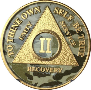 2 Year AA Medallion Camo Gold Plated Sobriety Chip