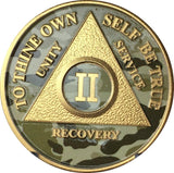 2 Year AA Medallion Camo Gold Plated Sobriety Chip