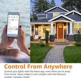 Amazon Basics Smart A19 LED Light Bulb, Dimmable Soft White (2700K), 9W (60W Equivalent), 800LM, Works with Alexa Only, 2.4 GHz Wi-Fi, No Hub Required