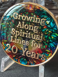 20 Year Multi-Color Tree Of Life Sobriety Medallion AA NA Chip Growing Along Spiritual Lines Back
