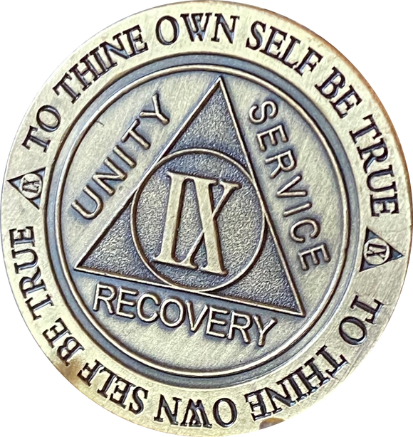 9 Year AA Medallion Trust God Clean House Help Others Doctor Bob Chip