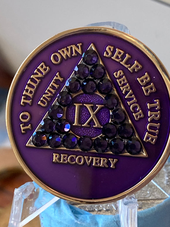 9 Year AA Medallion Purple Velvet Crystal Sobriety Chip Serenity Prayer Back