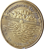 Acceptance Bronze Large 39mm AA Medallion Page 449