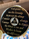 1 Year AA Medallion Silver Glitter Tri-plate Black Transition Crystal Sobriety Chip