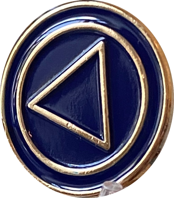 Custom Pin Triangle AA Lapel Pin Blue Gold Plated Circle Triangle Design No Year Plain Fro ...