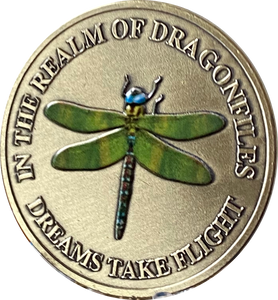 In The Realm Of Dragonflies Dreams Take Flight Color Dragonfly Serenity Prayer Medallion
