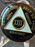 29 Year AA Medallion Black Tri-plate Sobriety Chip Serenity Prayer Coin