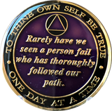 5 Year AA Founders Medallion Purple Tri-Plate Sobriety Chip Bill & Bob Coin
